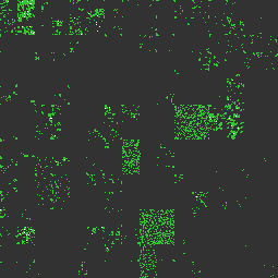 The first output image, a ping of UoC during
noon